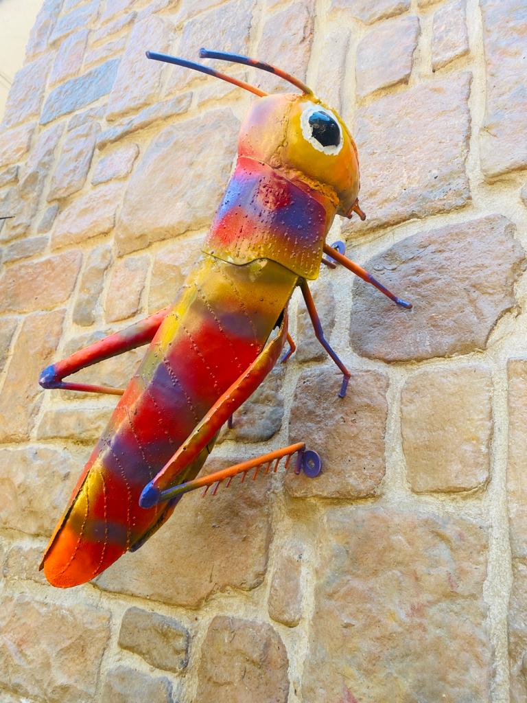 Grasshoppers
