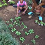 14225335 1195448307160456 5976845206762252288 N