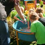 Resized Img 6562 Filtered