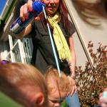 Resized Img 6572 Filtered