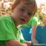 Resized Img 6586 Filtered