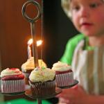 Resized Img 6781 Filtered