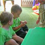 Resized Img 6788 Filtered